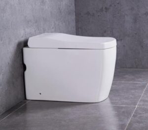 Smart Toilet Back To Wall