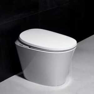 LUX Smart Toilet Back To Wall | S-LXT500