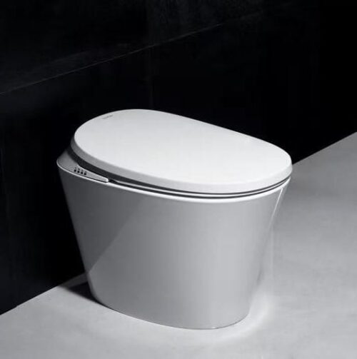 Smart Toilet Australia