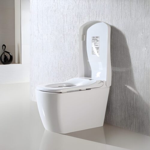 Smart Toilet Back To Wall | S-LXT004